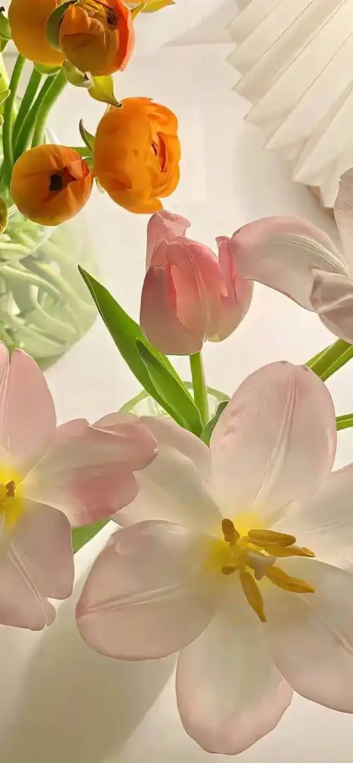 ios壁纸4k全面屏超清壁纸