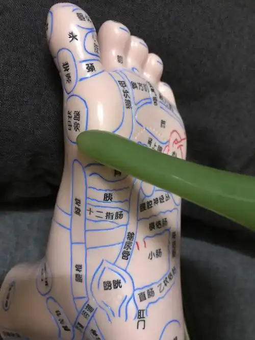 足底好处祛百病了解反射区位置好处
