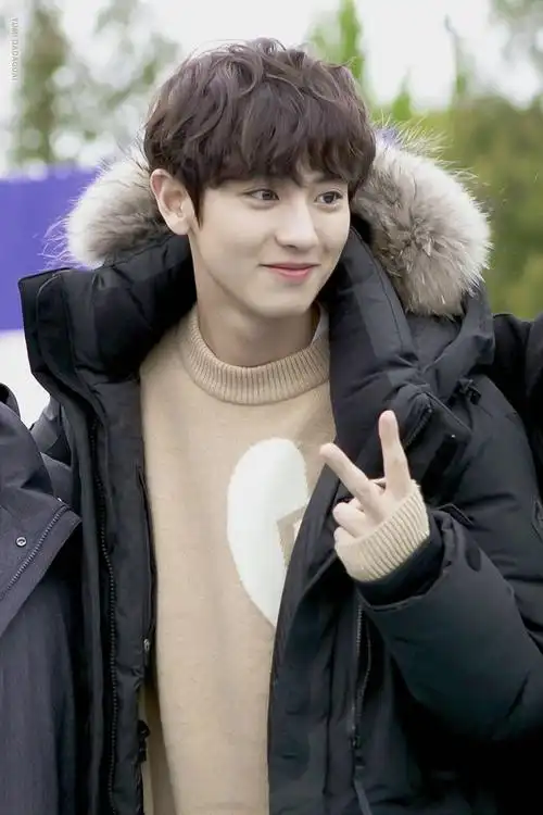 有没有关于朴灿烈的神图?