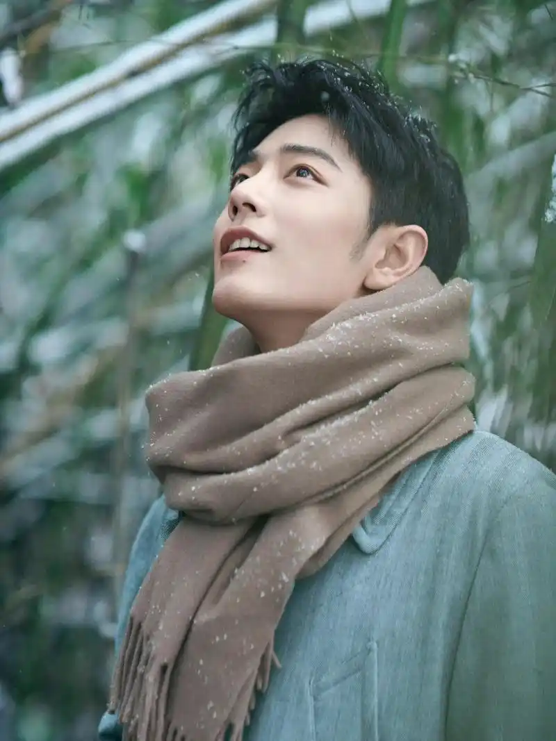 肖战|竹林雪景大片
