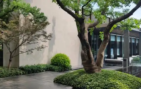 小区绿化景观一览新楼栋加推中参观看房请提前与我预约