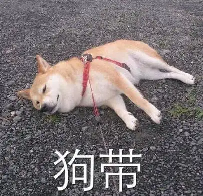 现在,倒计时,开始!不,已经