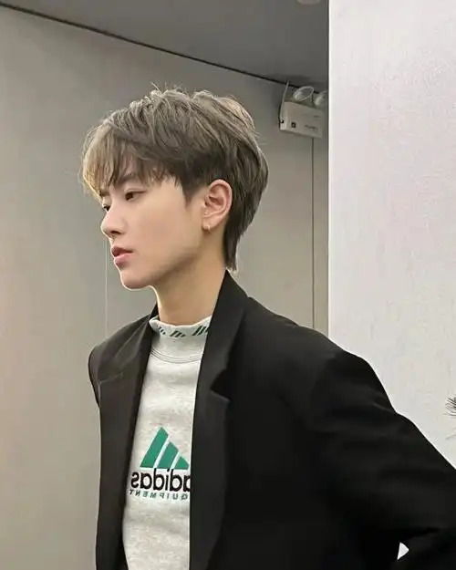 男生亚麻色头发图片