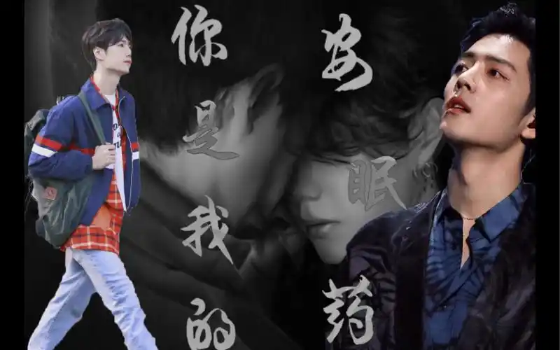 战山为王你是我的安眠药3重生双洁he前世黑帮大佬现世小少爷季向空受x