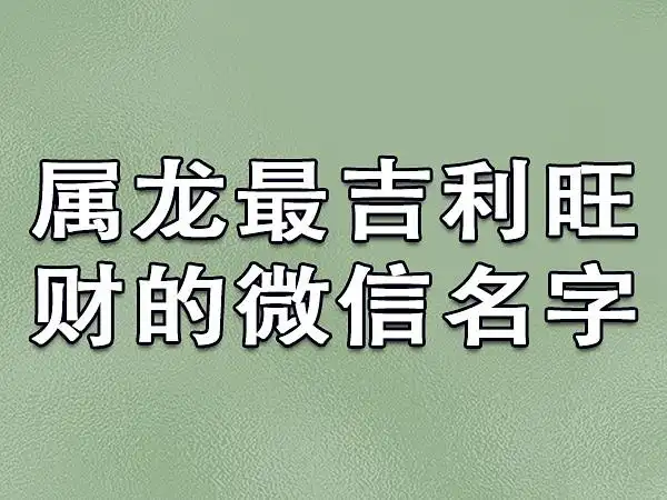 属龙最吉利旺财的微信名字