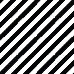 对角线形式黑色和白色的对角线照片