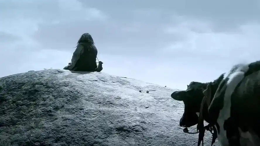 《斗牛》:另类的战争喜剧,诠释特殊时代下美与丑的人性