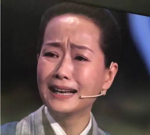 王源和赵雅芝叶童同台叶童在哭王源举拳张嘴网友小呆萌精