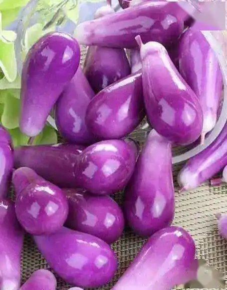 太太太太惊艳了世界奇蔬异果颠覆你的认知令人大开眼界