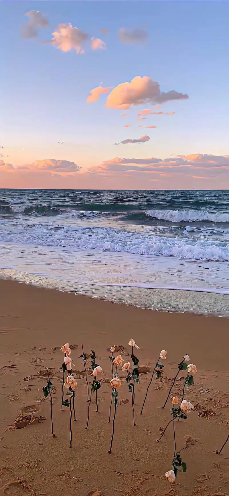 壁纸|超级温柔的ins风优质壁纸