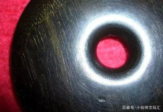 真假犀牛角的鉴别方法——犀角知识大全(中集)