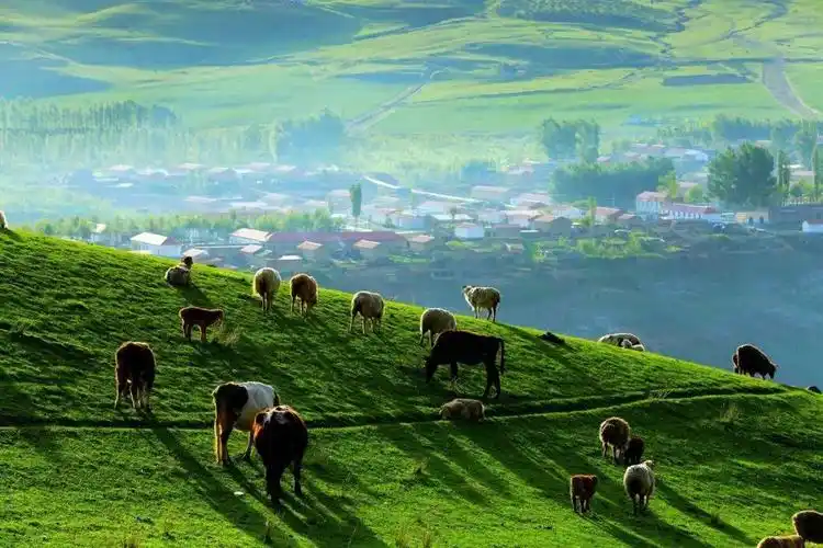 美图欣赏津门网黄宏才新疆之春