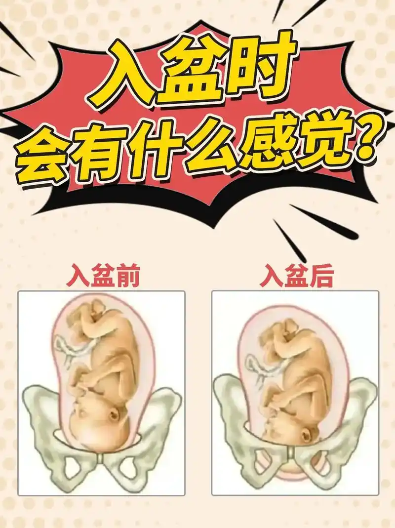 胎儿入盆 肚子会下垂 - 抖音