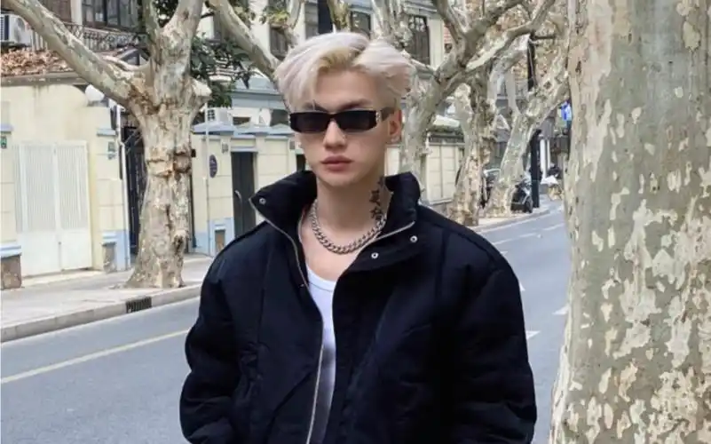 评价一下这王嘉尔同款发型如何,不玻璃心.