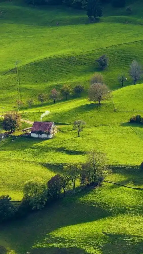 忙碌的生活需要烟火,也需要这种静静的美好!