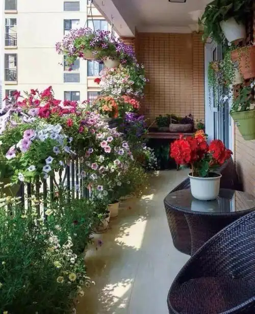 阳台这样一装还能多出一个小花园一年四季芳香四溢可香了