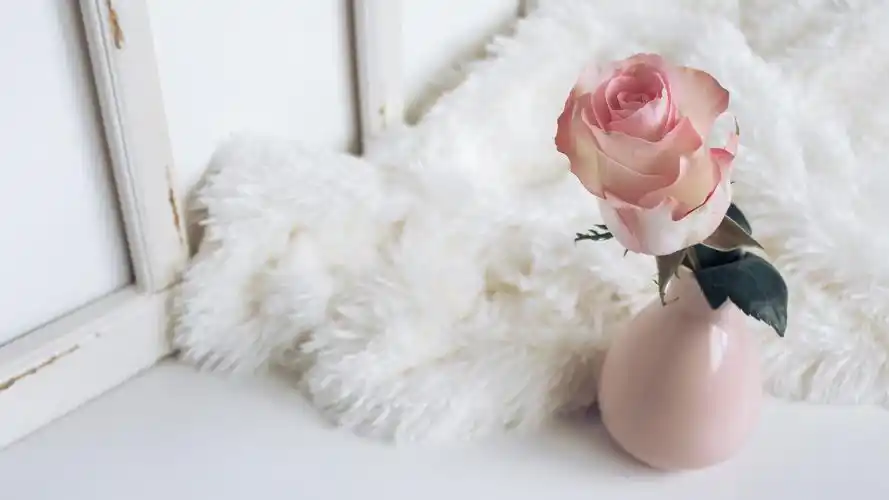 少女心壁纸【22】少女心壁纸图片_桌面壁纸图片_壁纸下载-元气壁纸