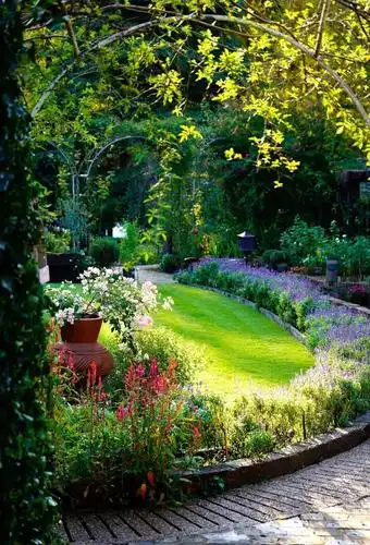 70岁中国大爷花费17年将废弃林场改造成中国最美私家花园被世界媒体评