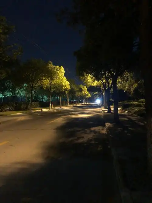 夜间风景暖色的灯光柔和的树木希望给内心片刻安宁