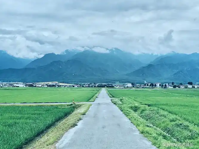 手机修图实例分享:超简单技巧,简单几步轻松打造日系清新风景片