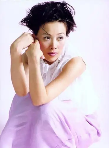 那英曾经叫"苏丙"