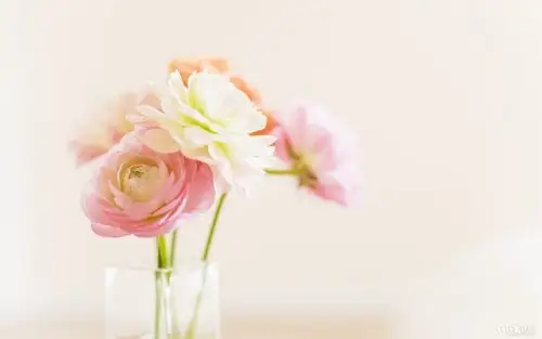 小清新风格桌面高清壁纸