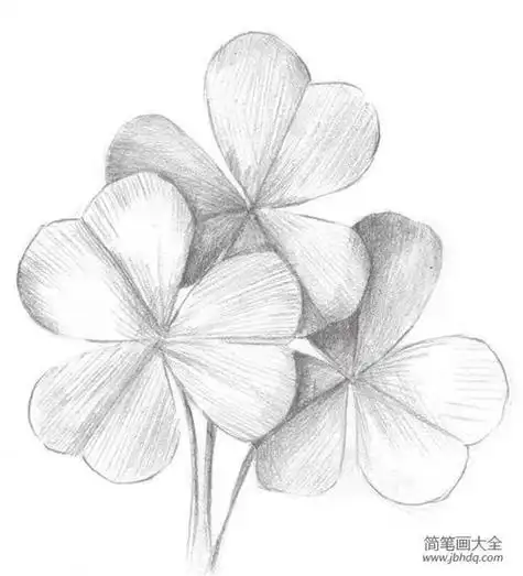 一年级简笔画素描视频教程