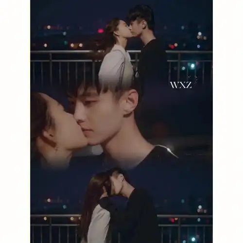 见面吧就现在猫的树