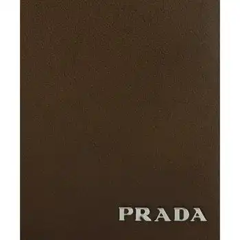 请问我们这说的"猪肝色"是什么颜色?发张图给我.