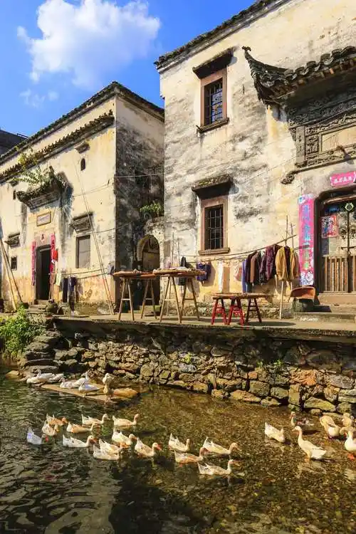 这些江南小村藏在深闺中却是每个人向往的真正桃源