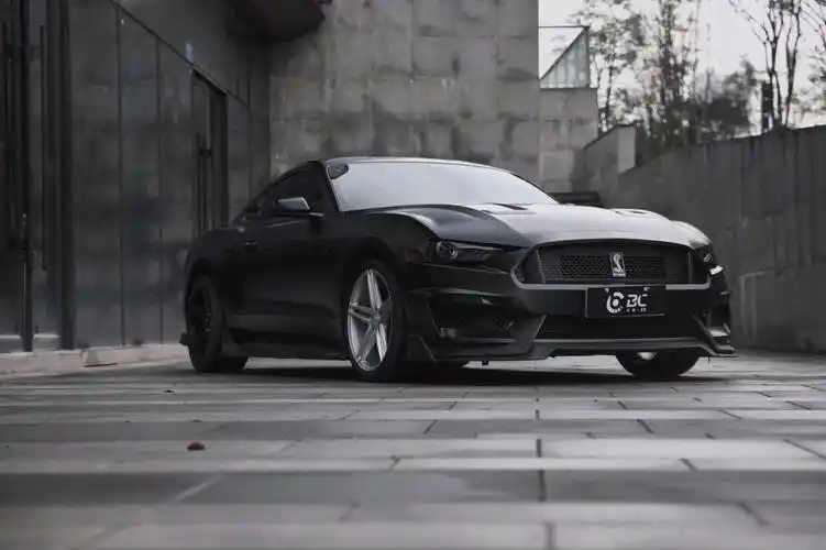 野马蝰蛇黑武士陶瓷黑