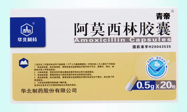 华北制药阿莫西林胶囊05g20粒盒溶血链球菌链球菌葡萄球菌或流感嗜血