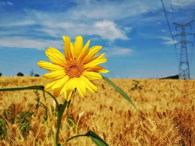 美景即是美好生活