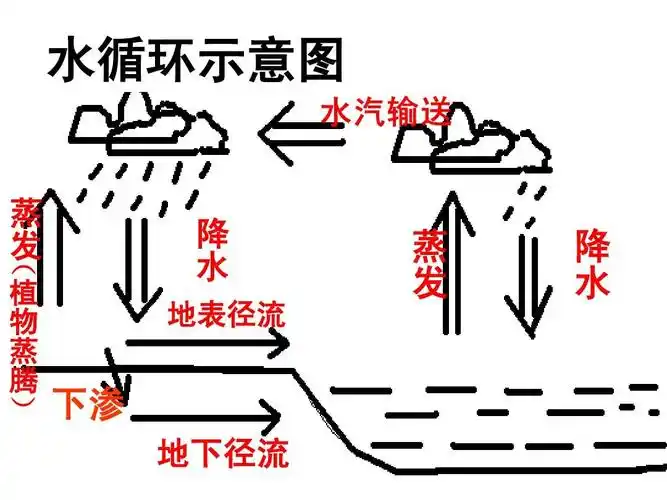 简图记忆 水循环示意图 蒸 发 ( 植 物 蒸 腾   降 水 地表径流 蒸 发