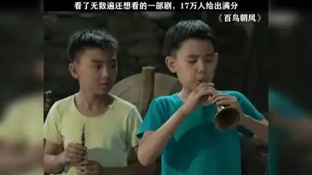 17万人给了好评 百鸟朝凤  郑伟  胡先煦