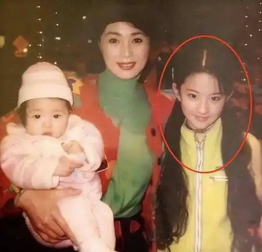 有其母必有其女,母女俩靠陈金飞上位,"扬州瘦马"刘亦菲现形记