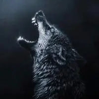 霸气凶残的狼的头像_微信头像图片大全