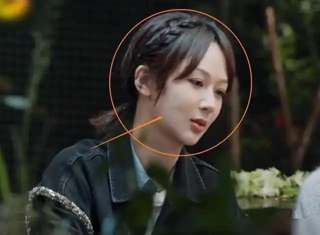 杨紫真敢说一语道破观众真实感受向往的生活5并不向往