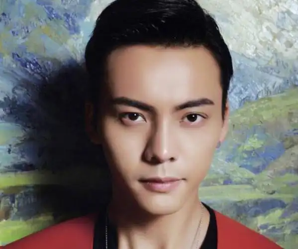 麦玲玲谈陈伟霆面相 面相好的男明星