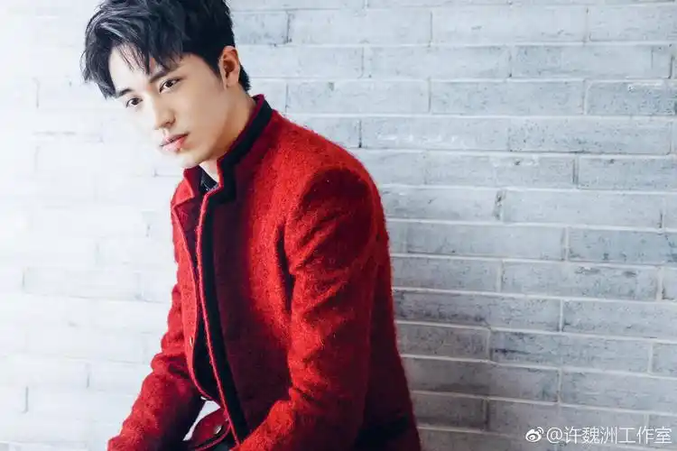 许魏洲 - 堆糖,美图壁纸兴趣社区