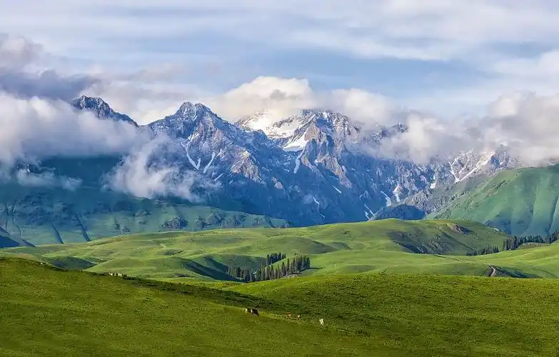 沿途美景一起来看|草原|新疆_新浪新闻