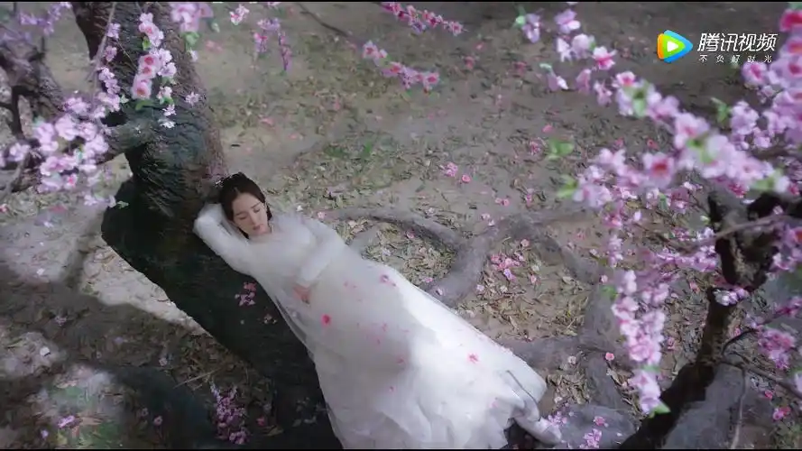 外头因着白浅的婚事闹得沸沸扬扬,而白浅却在桃林睡了五日之久