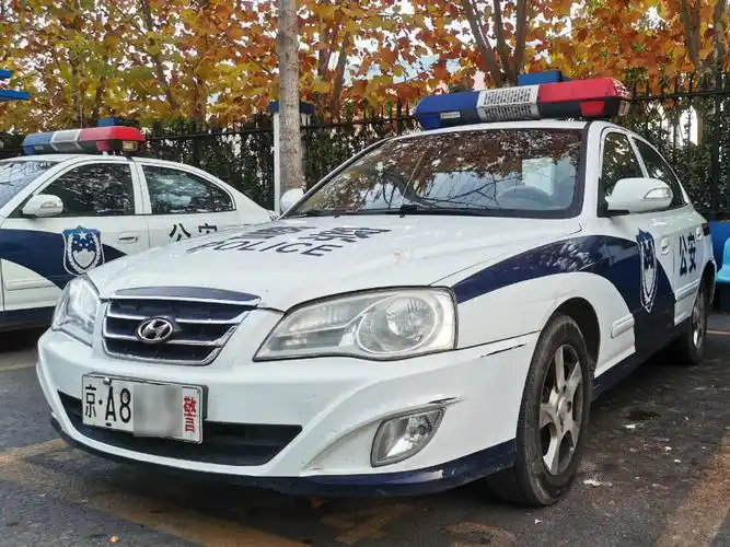 你好我的警车兄弟