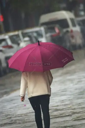 全部vip素材>摄影网>人物形象>下雨天街道游客打伞>