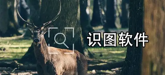 万能扫描识图王