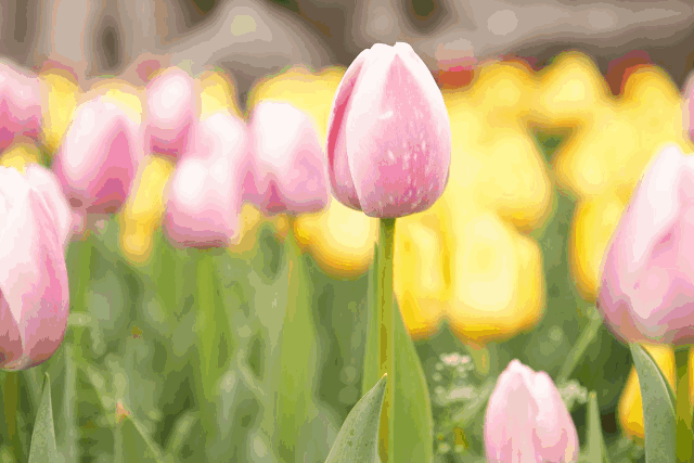 想要接触大自然又不想去太远的地方?