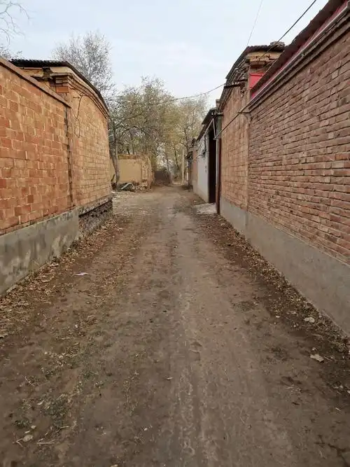 初冬的南宫农村景象姐妹情深2020.11.22-25