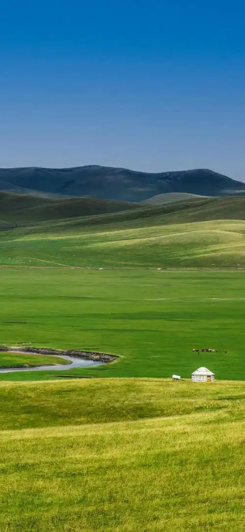 高清壁纸无水印