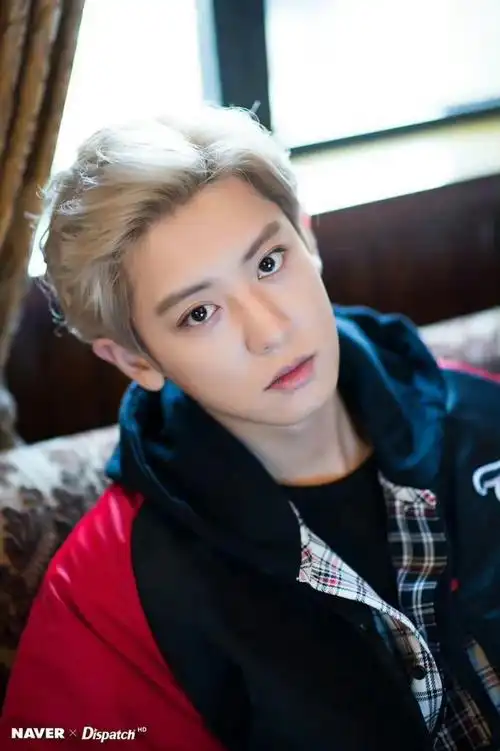 朴灿烈61次心动记录