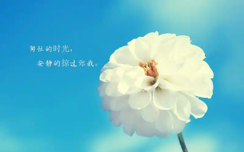 时光匆匆的经典句子配图,非主流-回车桌面